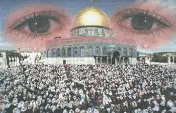 ��� ���� �� ����